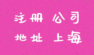 上海注冊(cè)公司成功后怎么進(jìn)行查詢(xún)？