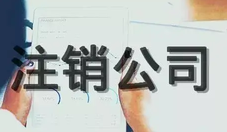 法人可以申請(qǐng)注銷(xiāo)公司嗎？