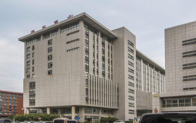 莘東置業(yè)：打造高品質(zhì)住宅，引領(lǐng)宜居新時代