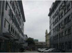 上海梅隴科技信息園助力企業(yè)跨越發(fā)展，筑夢科技未來
